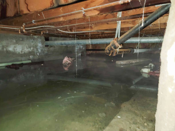 Best Local water damage restoration  in Temple, PA