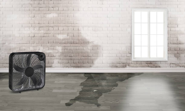 Best Water damage restoration services  in Temple, PA