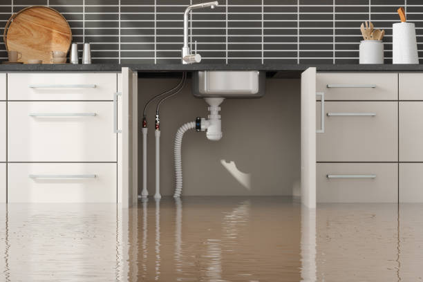 Best Water damage restoration near me  in Temple, PA